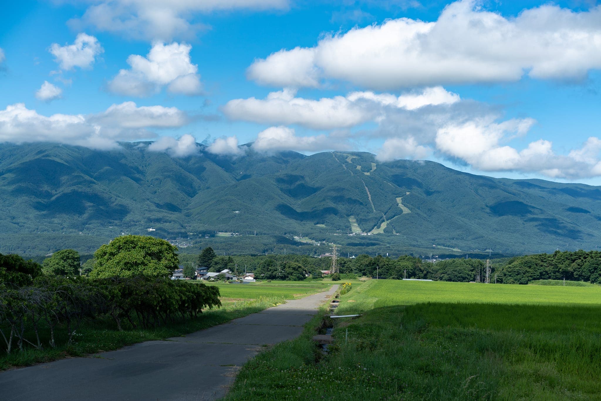 北杜市の夏