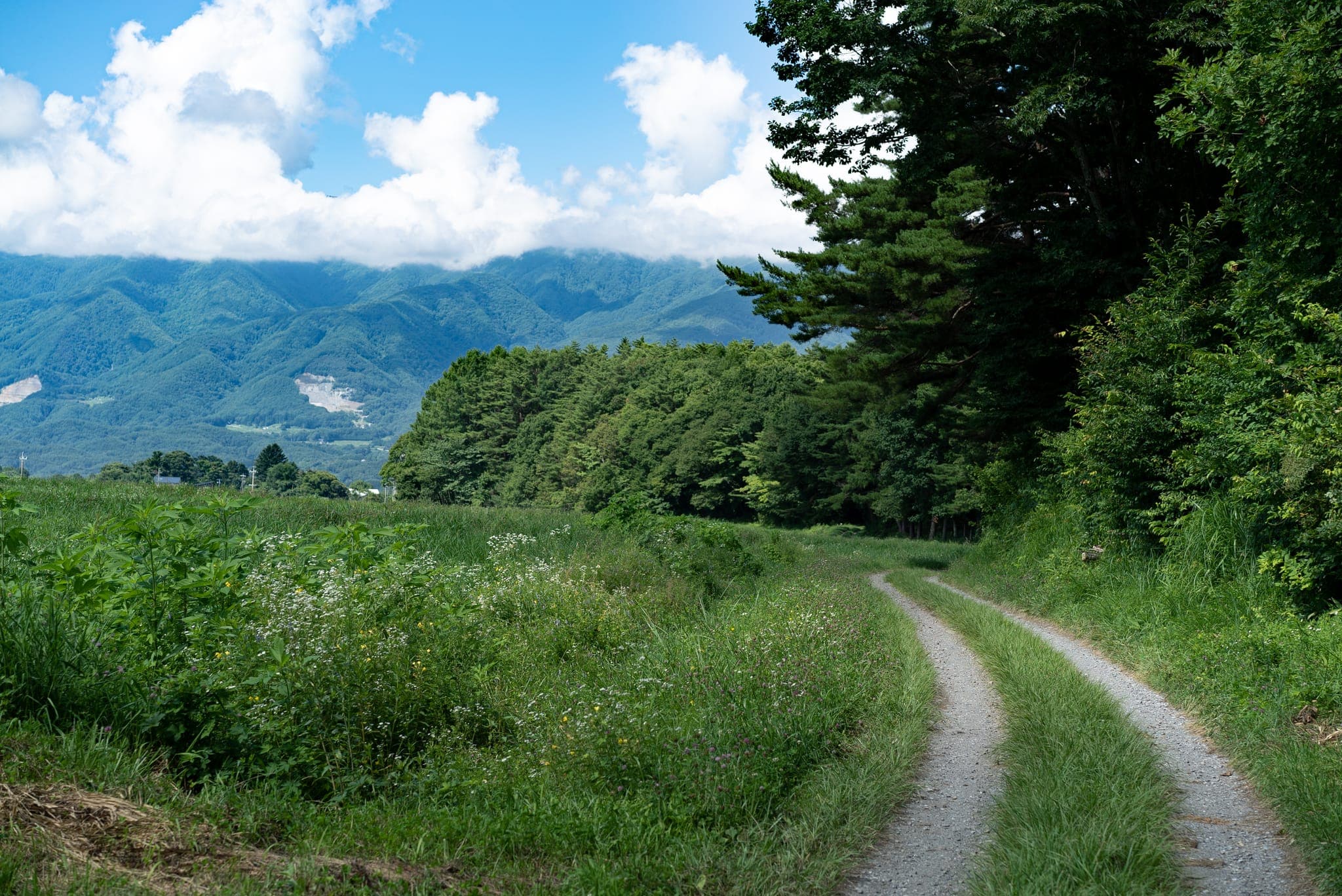 北杜市の夏2